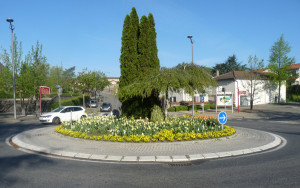 Fleurs2