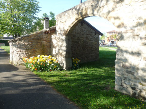 Fleurs3