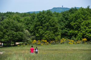 Parc Lacroix-Laval-1285