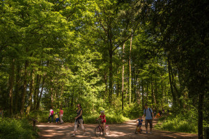 Parc Lacroix-Laval-1377